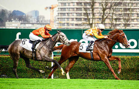 Actualités Hippiques